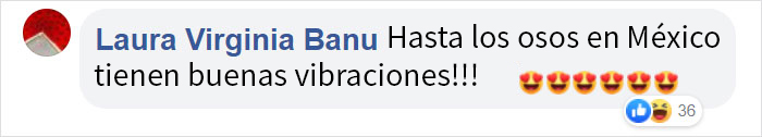 Este oso se acercó sigilosamente a un grupo de tranquilas excursionistas