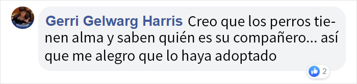 Este periodista visitaba un refugio para hacer un reportaje, y un perro se abrazó a él hasta que, supuestamente, decidió adoptarlo