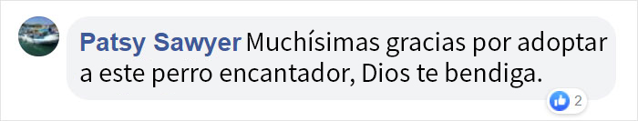 Este periodista visitaba un refugio para hacer un reportaje, y un perro se abrazó a él hasta que, supuestamente, decidió adoptarlo