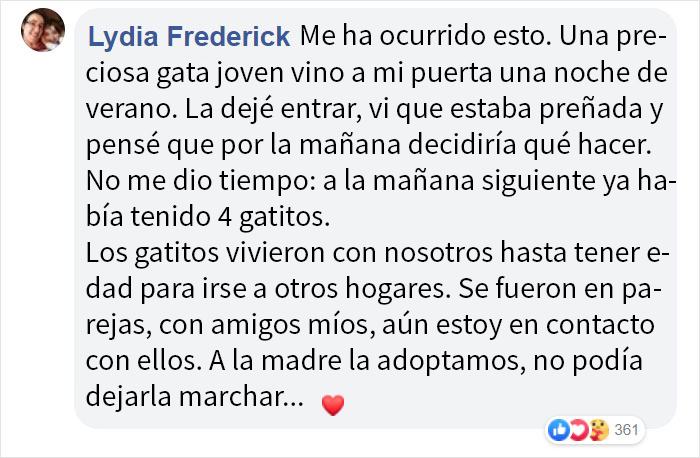 Esta gata callejera le "pidió" a una mujer que la dejara entrar en su casa para dar a luz