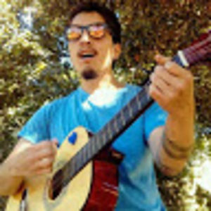 guillermovallejosvergara avatar