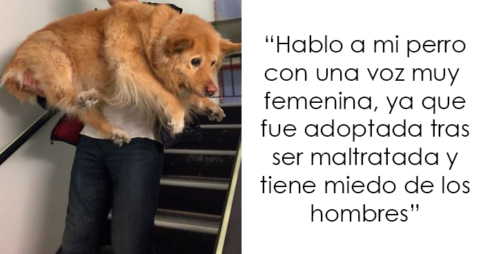 La gente comparte cosas que sus mascotas les han condicionado a hacer accidentalmente (25 respuestas)