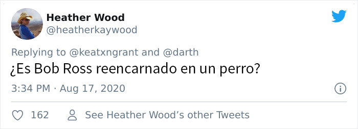 Este esponjoso caniche se ha vuelto viral por sus expresiones casi humanas