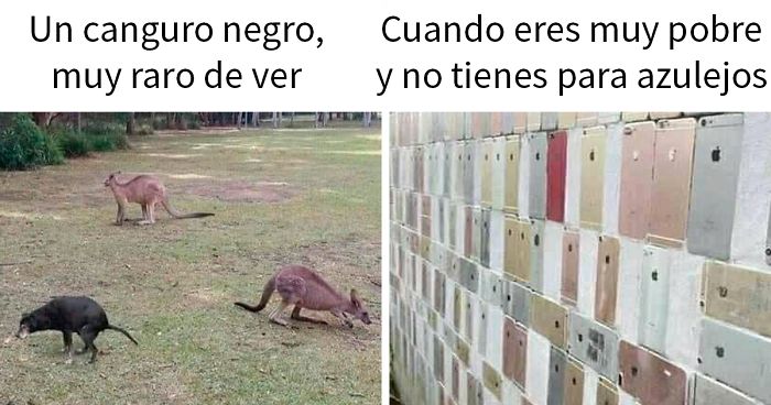 20 Personas que no entendieron la broma y quedaron como tontos delante de todo internet (Nuevas imágenes)