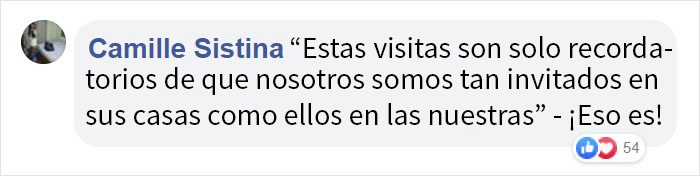Mamá osa regaña a su osezno por asomarse a la ventana de una casa, y el vídeo se vuelve viral