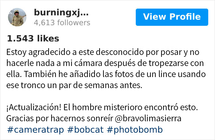 Este fotógrafo encontró a un visitante sorpresa cuando miraba las fotos hechas por su cámara del bosque