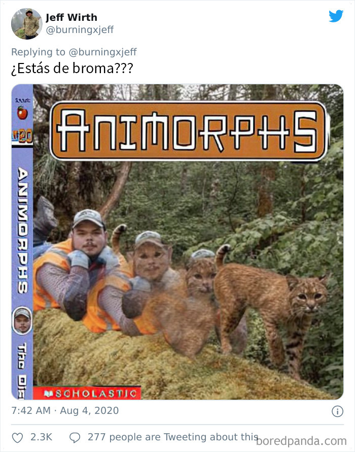 Este fotógrafo encontró a un visitante sorpresa cuando miraba las fotos hechas por su cámara del bosque