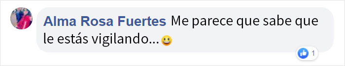 A este gato le gusta tanto robar los zapatos de los vecinos que su dueño ha creado un grupo de Facebook para devolverlos