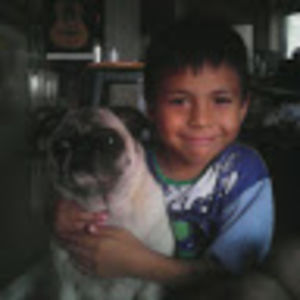 danteochoa avatar