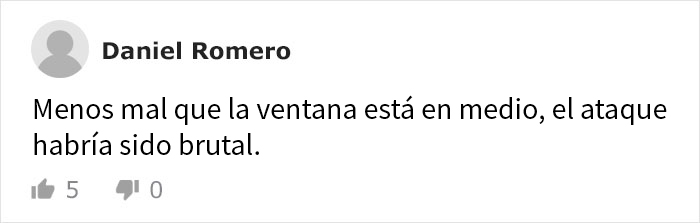 Esta mujer cartera documenta de forma divertida cómo este gato protege sus dominios cada día