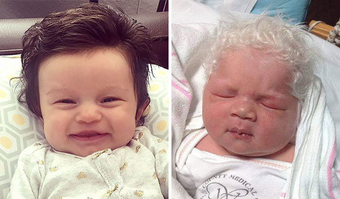 15 padres comparten fotos de sus bebés peludos