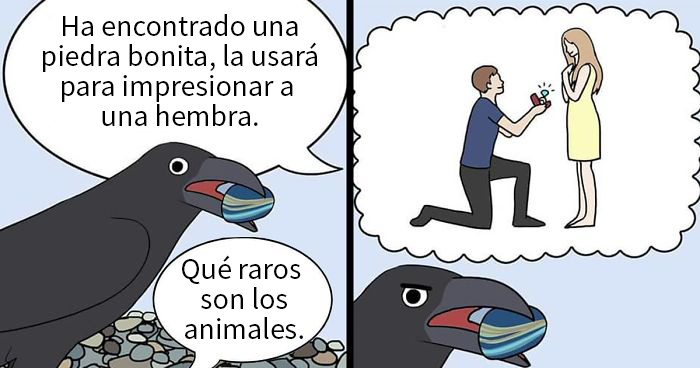 20 Divertidos cómics sobre loros, ilustrados por la dueña de los pájaros