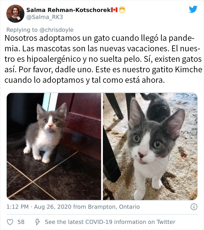Esta chica canadiense hizo una presentación de Powerpoint para convencer a sus padres de adoptar un gato, y se volvió viral
