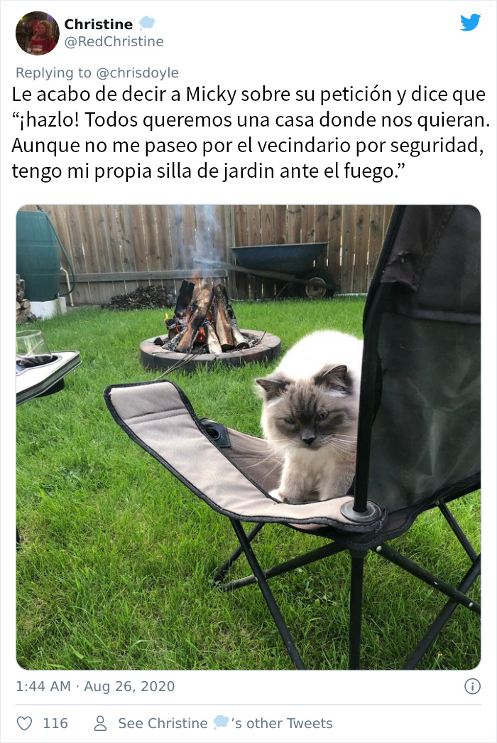 Esta chica canadiense hizo una presentación de Powerpoint para convencer a sus padres de adoptar un gato, y se volvió viral