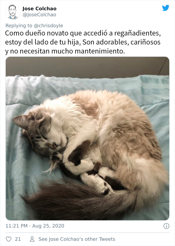 Esta chica canadiense hizo una presentación de Powerpoint para convencer a sus padres de adoptar un gato, y se volvió viral