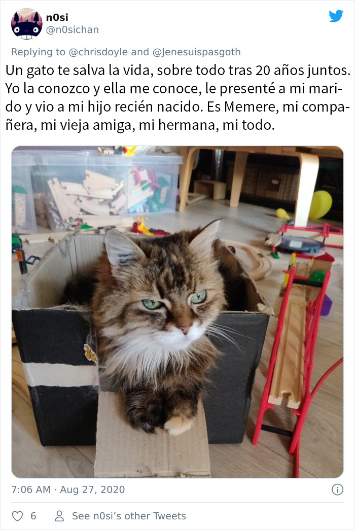 Esta chica canadiense hizo una presentación de Powerpoint para convencer a sus padres de adoptar un gato, y se volvió viral