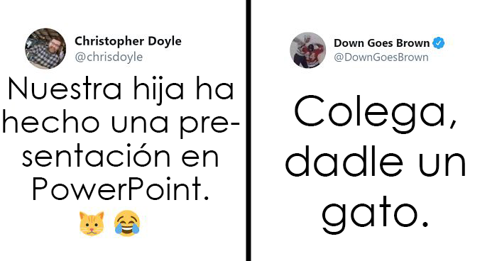 Esta chica canadiense hizo una presentación de Powerpoint para convencer a sus padres de adoptar un gato, y se volvió viral