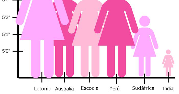 Publican un gráfico sobre la «altura media femenina» y los comentarios de la gente son divertidísimos