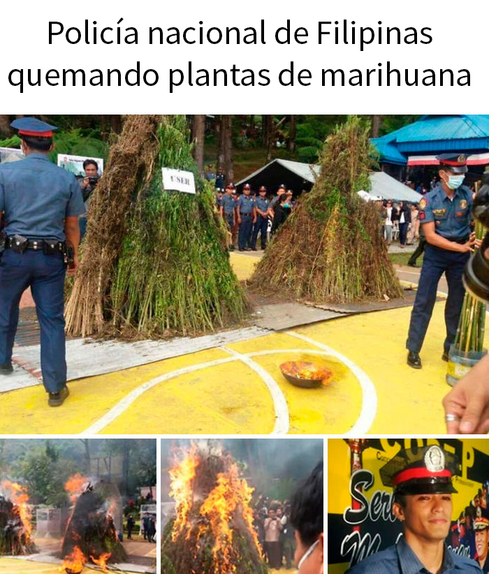 Qué podría salir mal si quemas 3 toneladas de marihuana en una zona residencial