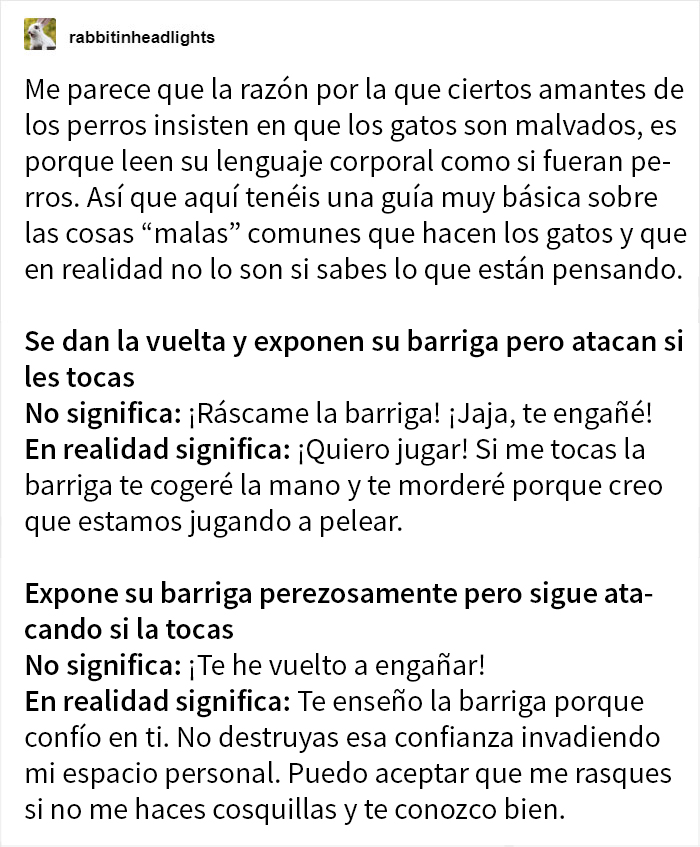 Estos dueños de gatos explican cómo el lenguaje corporal felino es malinterpretado al compararlo con el de los perros