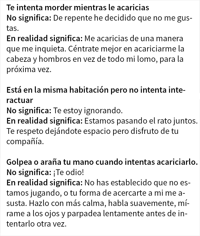 Estos dueños de gatos explican cómo el lenguaje corporal felino es malinterpretado al compararlo con el de los perros