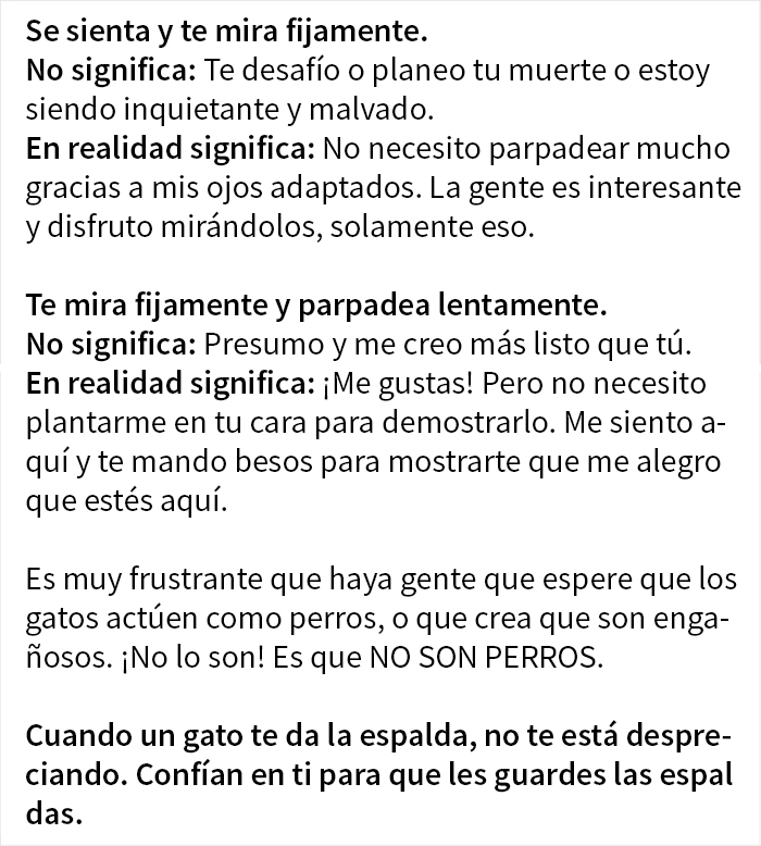 Estos dueños de gatos explican cómo el lenguaje corporal felino es malinterpretado al compararlo con el de los perros