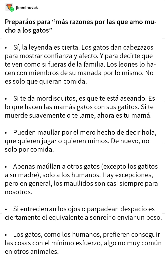 Estos dueños de gatos explican cómo el lenguaje corporal felino es malinterpretado al compararlo con el de los perros