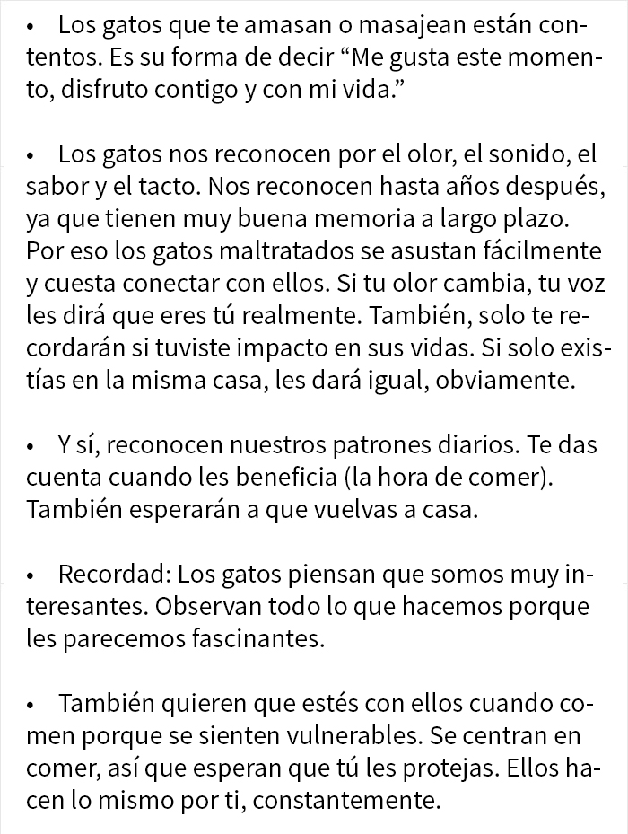 Estos dueños de gatos explican cómo el lenguaje corporal felino es malinterpretado al compararlo con el de los perros