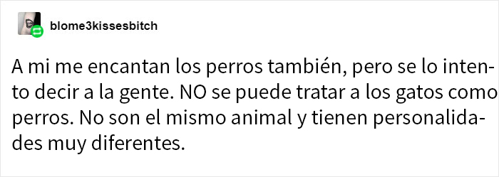 Estos dueños de gatos explican cómo el lenguaje corporal felino es malinterpretado al compararlo con el de los perros