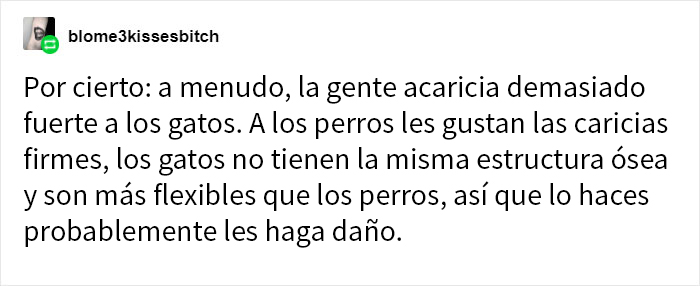 Estos dueños de gatos explican cómo el lenguaje corporal felino es malinterpretado al compararlo con el de los perros
