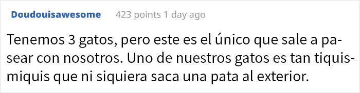 “Salvamos a un gatito, el perro nos ayudó a criarlo y ahora el gato cree que es un perro, es adorable”