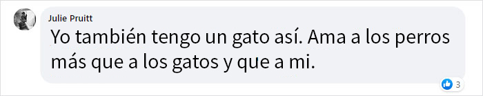 “Salvamos a un gatito, el perro nos ayudó a criarlo y ahora el gato cree que es un perro, es adorable”
