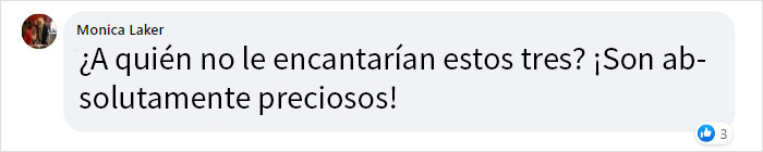 “Salvamos a un gatito, el perro nos ayudó a criarlo y ahora el gato cree que es un perro, es adorable”