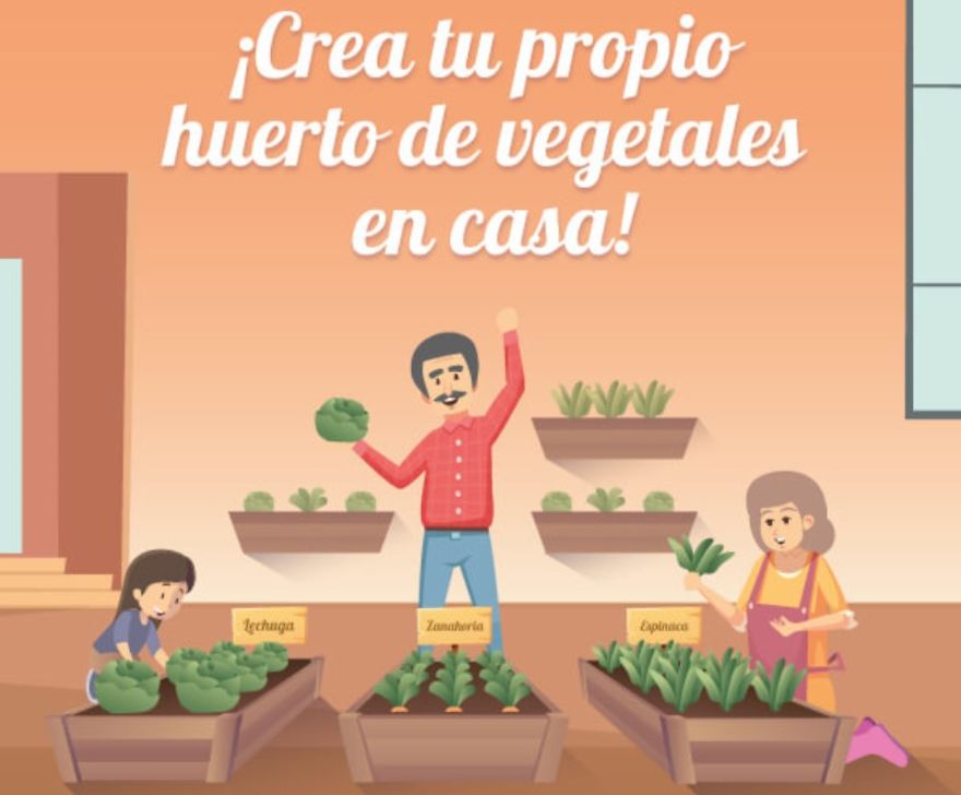 ¡crea Tu Propio Huerto De Vegetales En Casa!