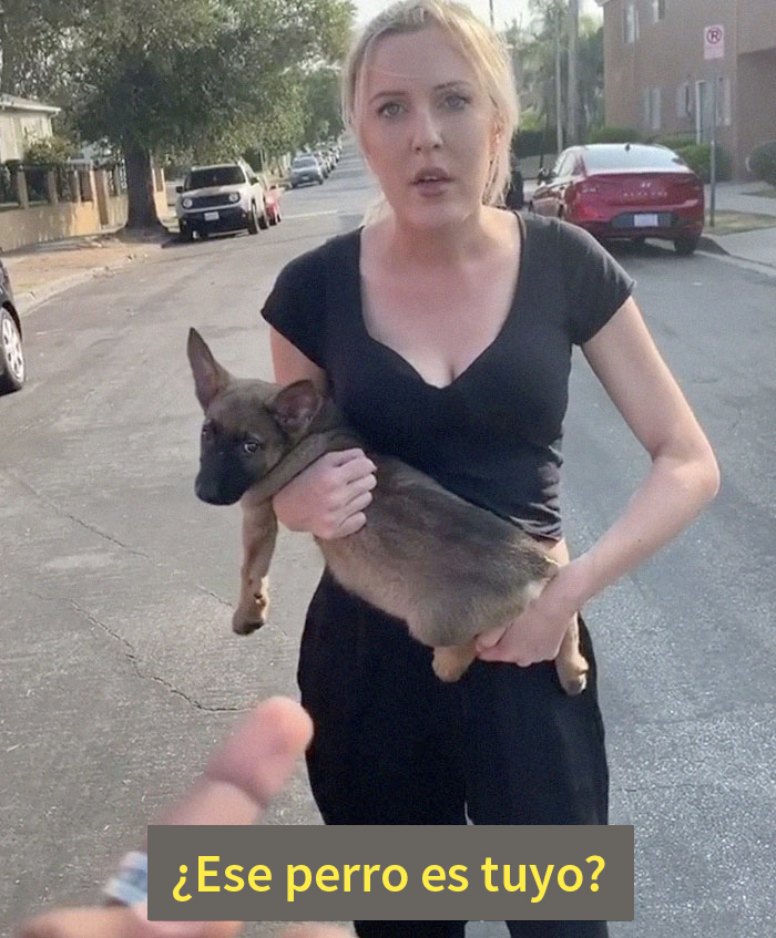 Esta mujer le arrojó un cachorro a un hombre, él se negó a devolvérselo y muestra lo feliz que es el perro ahora