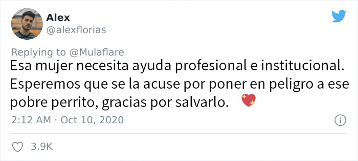 Esta mujer le arrojó un cachorro a un hombre, él se negó a devolvérselo y muestra lo feliz que es el perro ahora