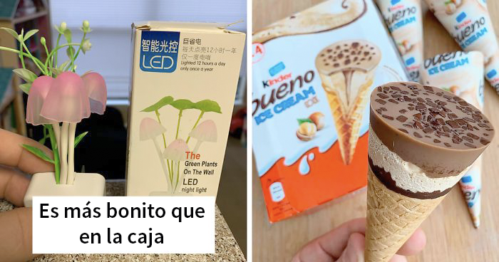 43 Publicaciones realmente geniales de «Expectativas VS Realidad» en que los resultados superaron cualquier expectativa