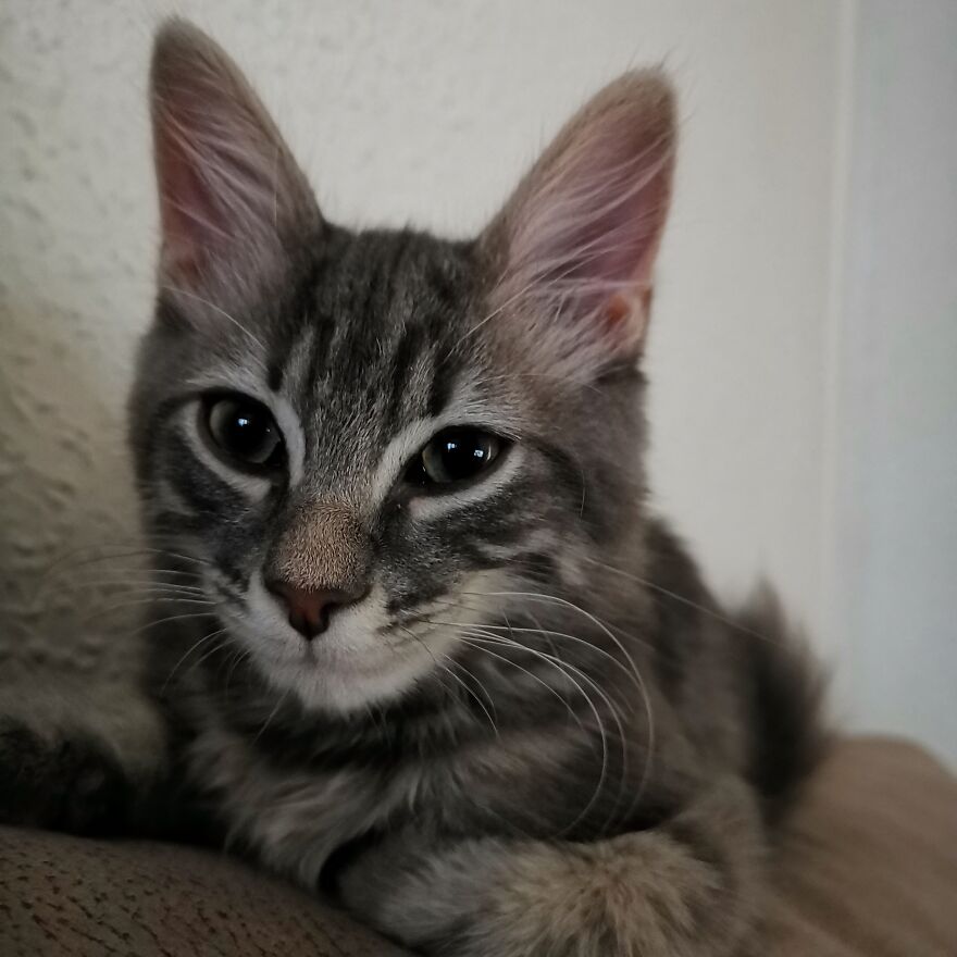 Pitou-Pitou,
mi Vida En Un Pequeño Instante