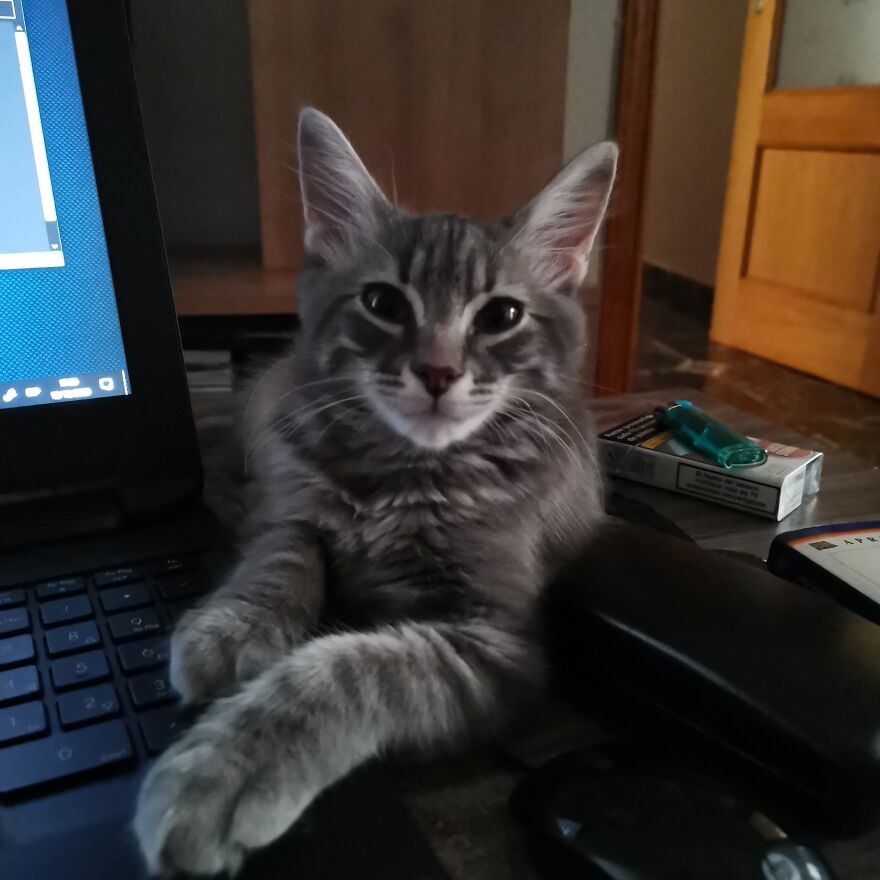 Pitou-Pitou,
mi Vida En Un Pequeño Instante