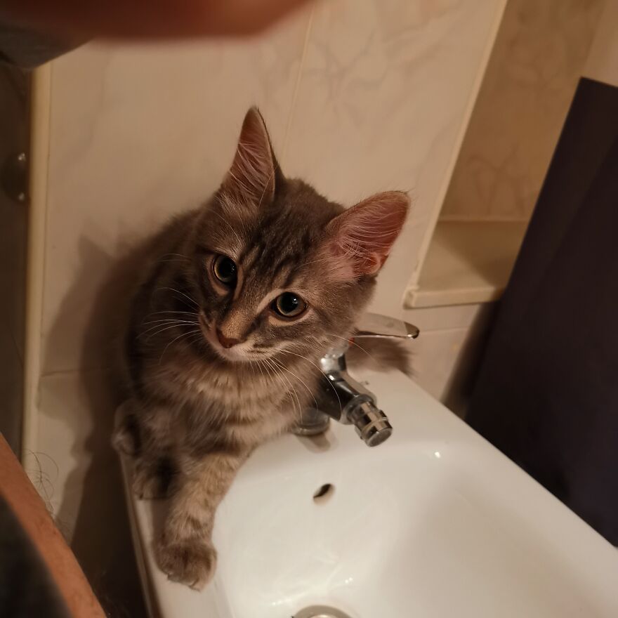 Pitou-Pitou,
mi Vida En Un Pequeño Instante