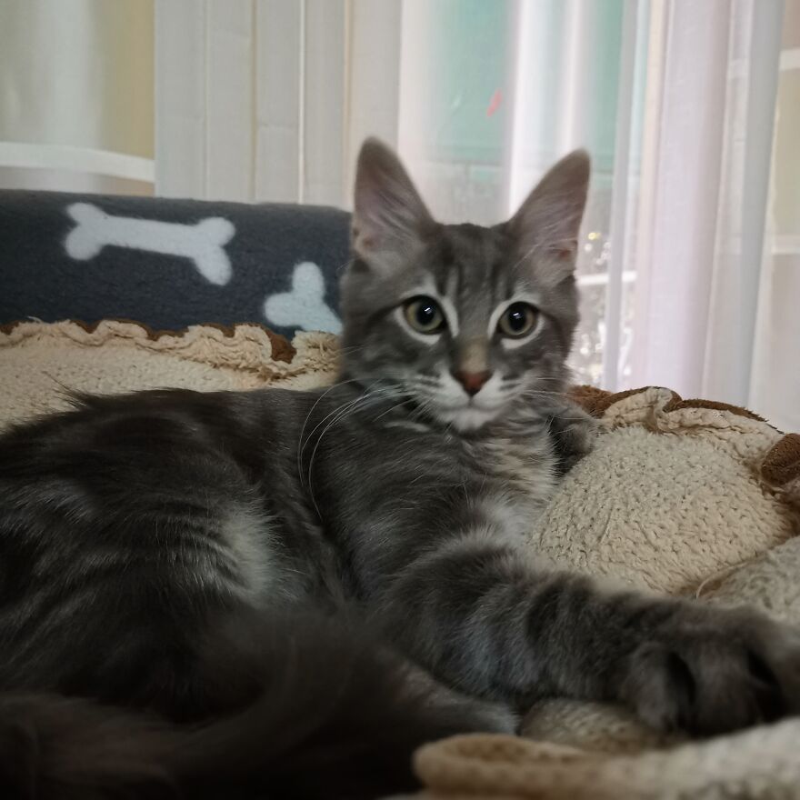 Pitou-Pitou,
mi Vida En Un Pequeño Instante