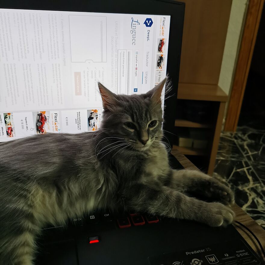 Pitou-Pitou,
mi Vida En Un Pequeño Instante