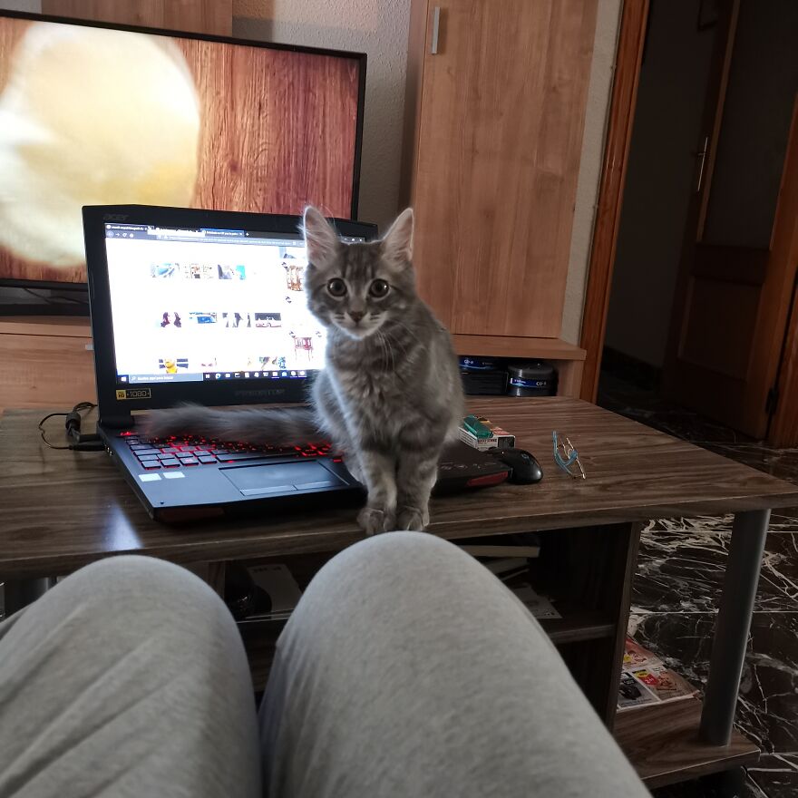 Pitou-Pitou,
mi Vida En Un Pequeño Instante