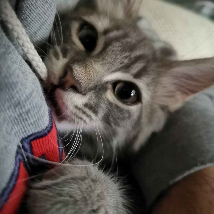 Pitou-Pitou,
mi Vida En Un Pequeño Instante