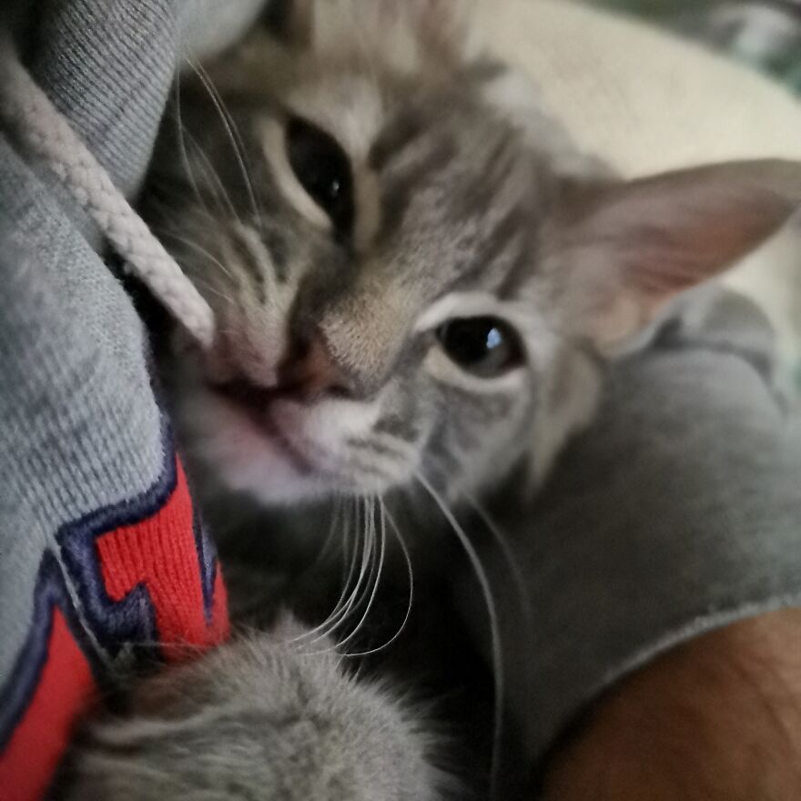 Pitou-Pitou,
mi Vida En Un Pequeño Instante