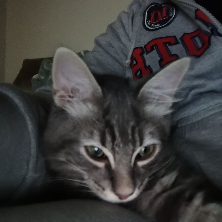 Pitou-Pitou,
mi Vida En Un Pequeño Instante