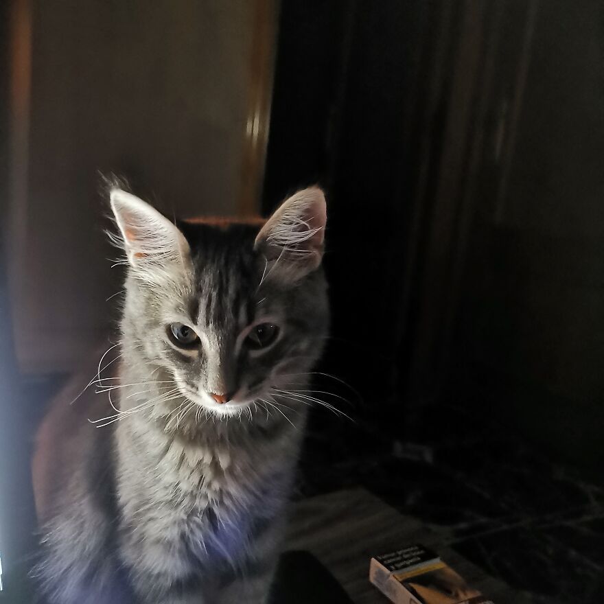 Pitou-Pitou,
mi Vida En Un Pequeño Instante