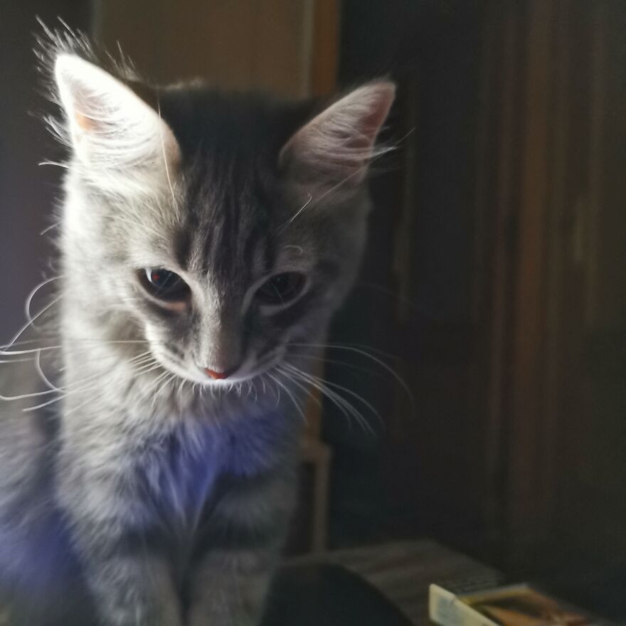 Pitou-Pitou,
mi Vida En Un Pequeño Instante