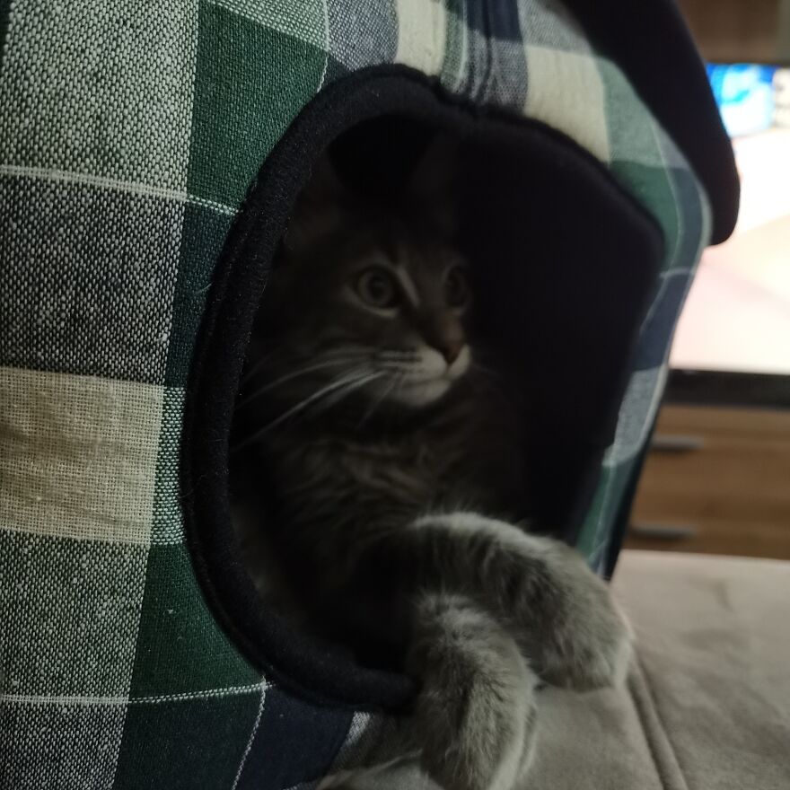 Pitou-Pitou,
mi Vida En Un Pequeño Instante