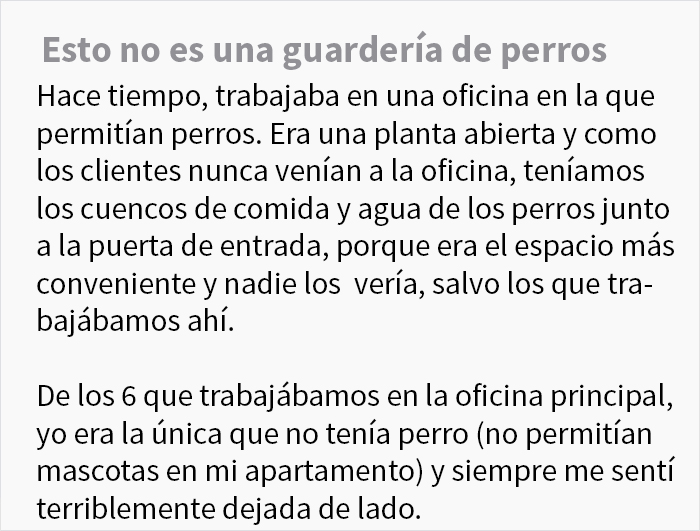 Durante meses, una mujer dejó a su perro en esta oficina pensando que era una guardería para perros